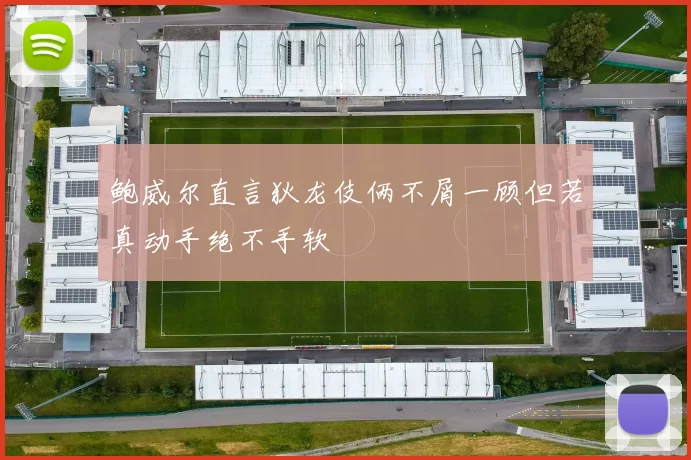 鲍威尔直言狄龙伎俩不屑一顾但若真动手绝不手软